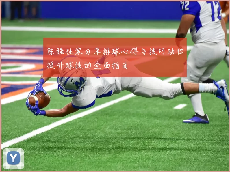 陈强独家分享排球心得与技巧助你提升球技的全面指南