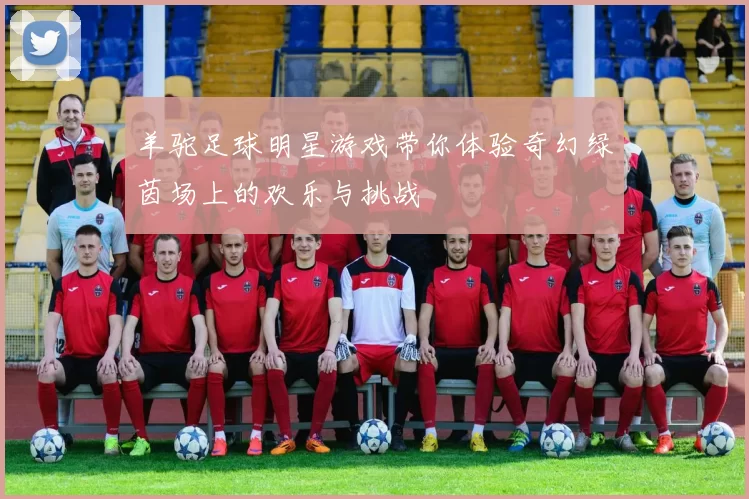 羊驼足球明星游戏带你体验奇幻绿茵场上的欢乐与挑战