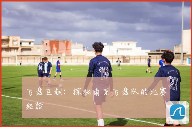 飞盘巨献：探秘南京飞盘队的比赛经验