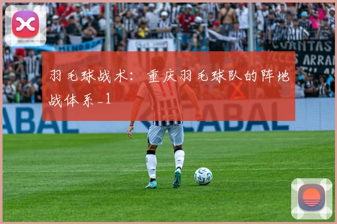 羽毛球战术：重庆羽毛球队的阵地战体系_1